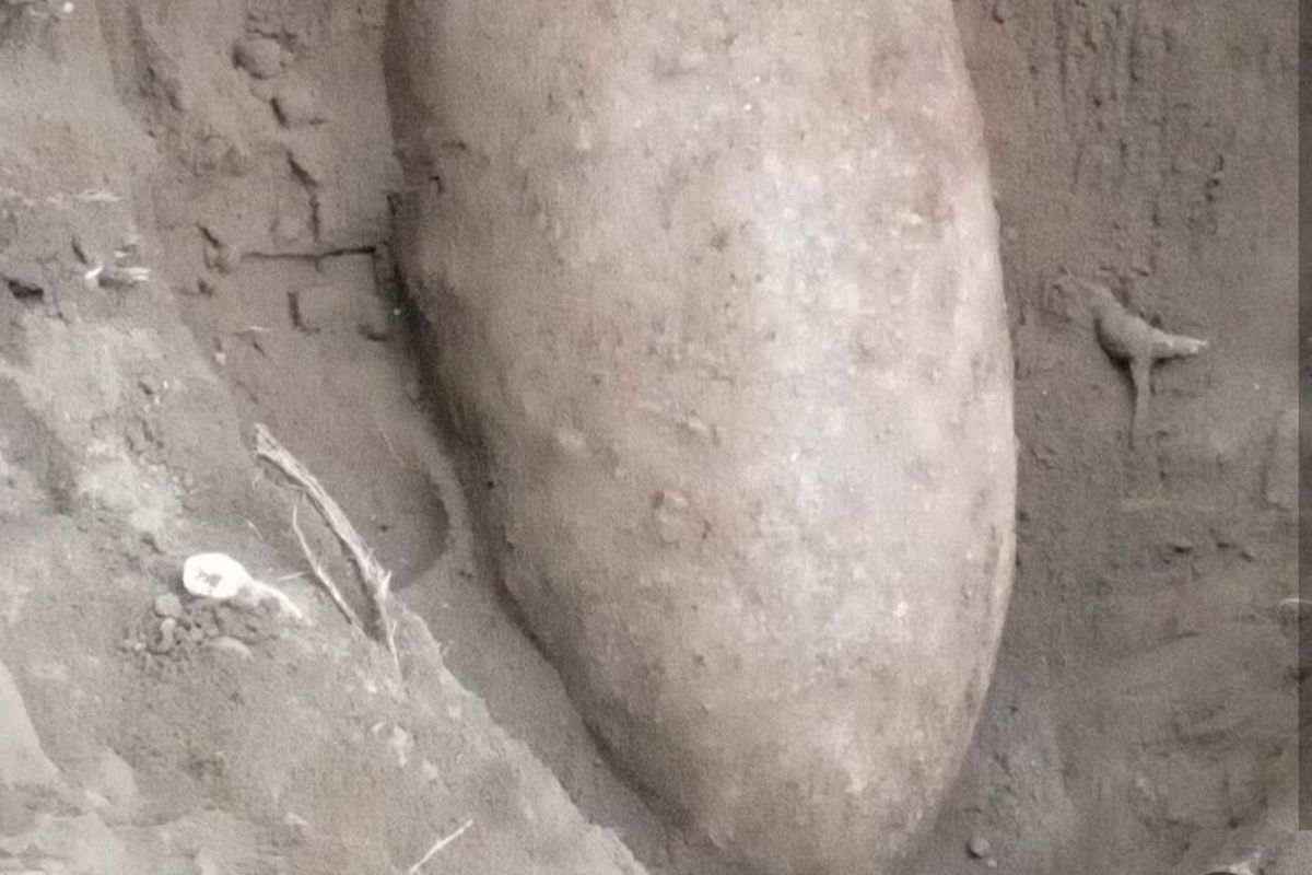 Benda diduga mortir yang ditemukan warga saat menggali tanah di halaman rumah daerah Padukuhan Tanjung, Kalurahan Umbulmartani, Kapanewon Ngemplak, Kabupaten Sleman, DIY. (Foto tangkapan layar dari media sosial @merapi_uncover).