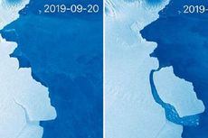 Gunung Es Seberat 315 Miliar Ton Terpisah dari Antarktika