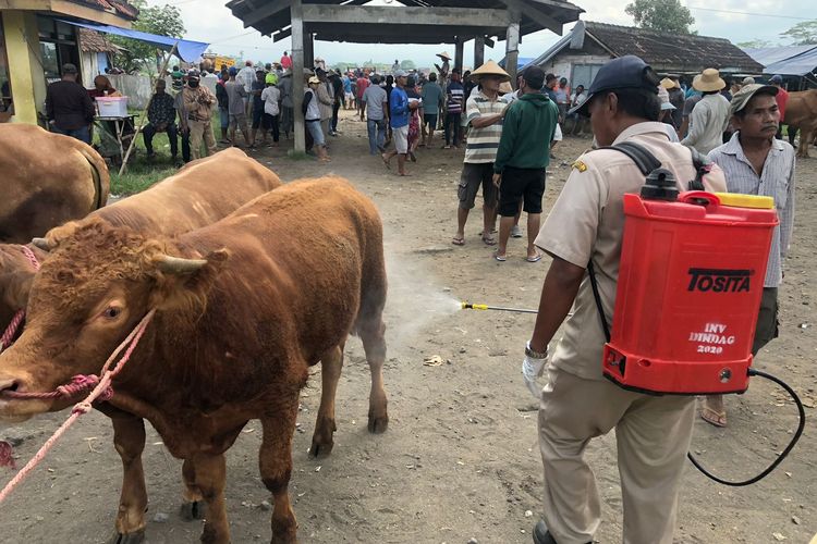 Penyemprotan pasar hewan Lumajang oleh petugas Dinas Pertanian Kabupaten Lumajang antisipasi PMK
