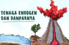 Tenaga Endogen dan Dampaknya bagi Kehidupan