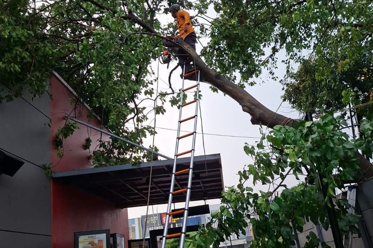 Hujan es disertai angin kencang melanda sebagian wilayah Gunung Putri, Kabupaten Bogor, Selasa (2/12/2025) siang hingga sore. Peristiwa ini menyebabkan beberapa pohon tumbang menimpa atap rumah dan merusak area halaman sebuah gerai makanan cepat saji di Kota Wisata.