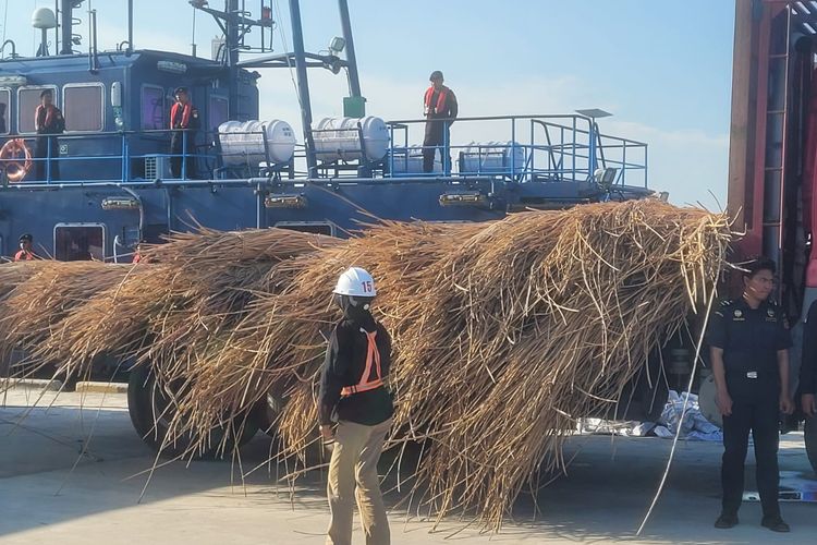 Penyelundupan Rotan Mentah 99,5 Ton Senilai Rp 4,2 Miliar ke Malaysia Digagalkan di Perairan Sipadan