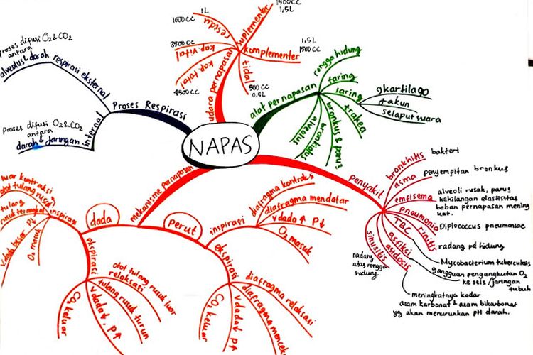 Contoh mind map untuk menghapal pelajaran biologi tentang pernapasan