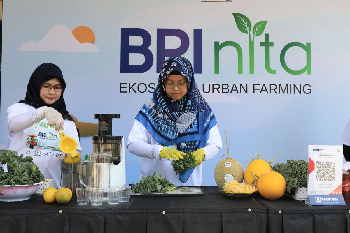 Salah satu program BRI untuk pemberdayaan perempuan yaitu BRInita yang melibatkan kaum wanita untuk membuat ekosistem urban farming yang berkelanjutan di daerah kota padat penduduk.