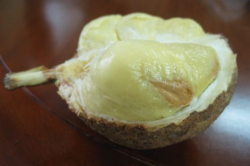 Kisah Penemuan Durian Si Gundul di Kaki Gunung Rinjani