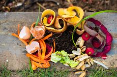 3 Cara Olah Sampah Makanan Jadi Kompos, Baik untuk Tanaman