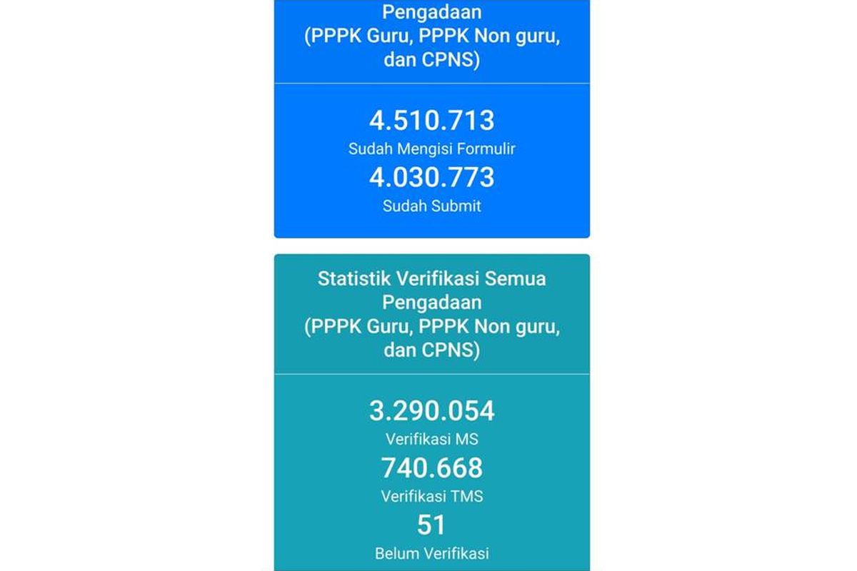 Tangkapan layar data pelamar CASN (CPNS dan CPPPK)