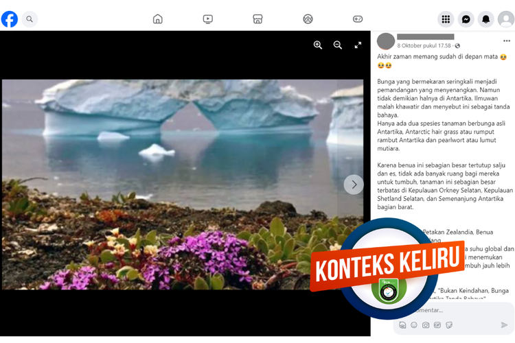 Tangkapan layar unggahan dengan konteks keliru di sebuah akun Facebook, Minggu (8/10/2023), soal foto bunga ungu yang mekar di Antarktika.