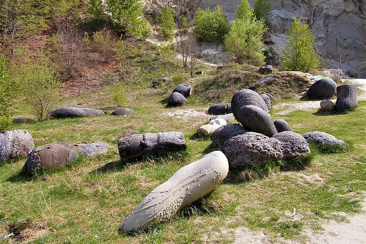 Penampakan batu hidup di Muzeul Trovantilor atau Cagar Alam Museum Trovants, Costesti, Rumania.