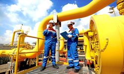 PGN Catatkan Laba Bersih 238,6 Juta Dollar AS pada Semester I-2022
