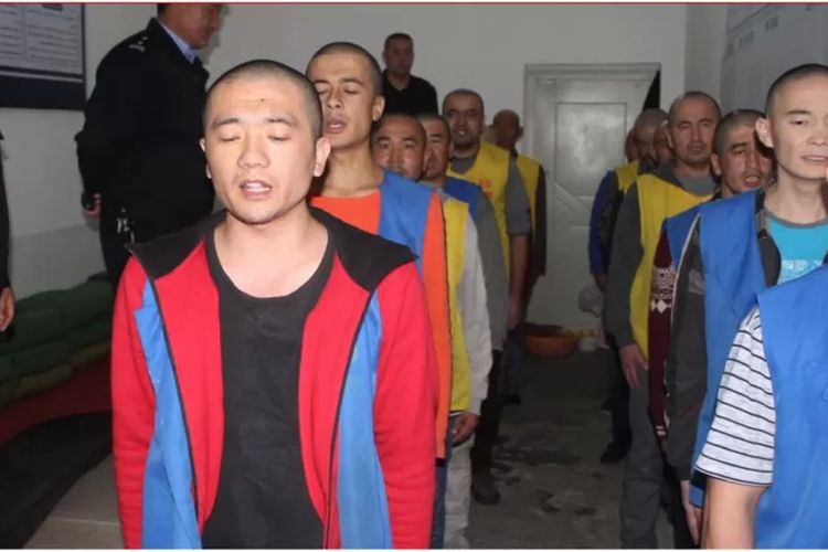 Melalui kumpulan data ini, terkuak bahwa China menggunakan kamp-kamp pendidikan ulang dan penjara-penjara formal sebagai dua sistem yang terpisah namun terhubung guna memenjarakan etnis Uighur secara massal.