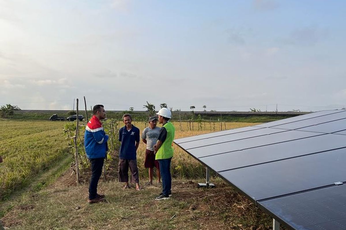 Desa Energi Berdikari Pertamina hadir di 52 titik untuk mengakselerasi pemerataan transisi energi bersih dengan sumber daya energi lokal.