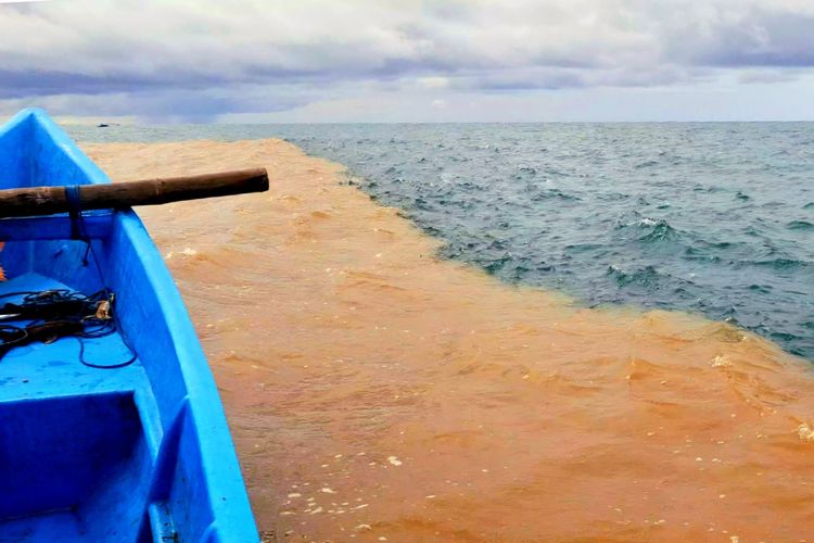 (DIY) Air Pantai Baron Gunungkidul berubah jadi dua warna. Fenomena Air Laut Dua Warna di Pantai Baron Gunungkidul, Peneliti BRIN Ungkap Penyebabnya