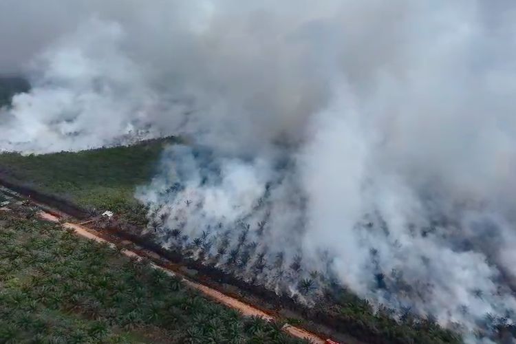 Drone Kementerian Kehutanan Ungkap Karhutla di OKI, Area Kebakaran Berbatasan dengan Lahan Perusahaan Sawit