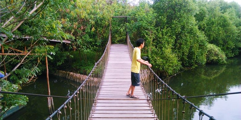 Salah satu tempat foto favorit wisatawan di Hutan Mangrove Angke.