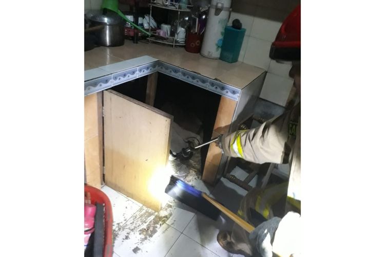 Petugas Sudin PKP Jakarta Timur tengah evakuasi Ular Kobra yang masuk dapur rumah warga di Jalan H.Karim, Cipayung, Jakarta Timur, Minggu (22/12/2019) malam.