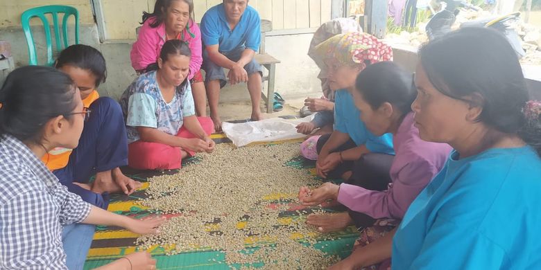 Petani kopi di daerah Tapanuli mendapatkan pelatihan pemilahan kopi