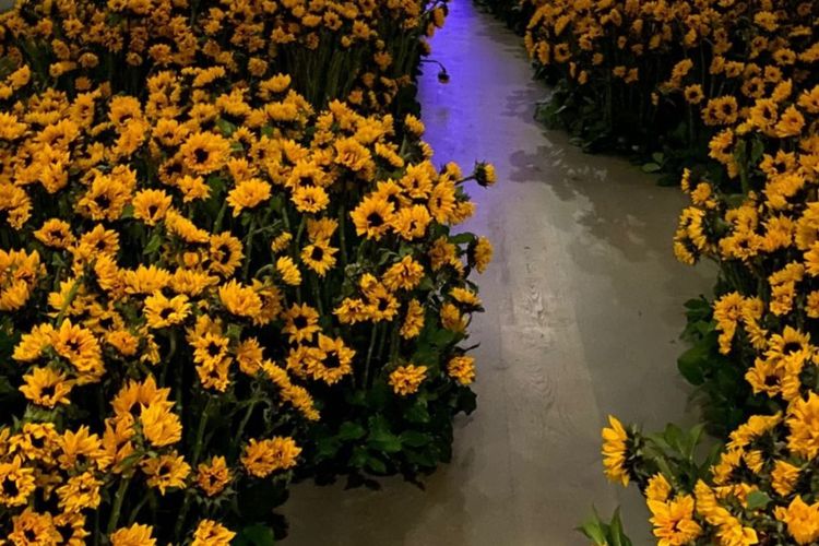 Dekorasi bunga di rumah Kylie Jenner di Calabasas, California, AS, untuk merayakan Hari Ayah bagi Travis Scott.