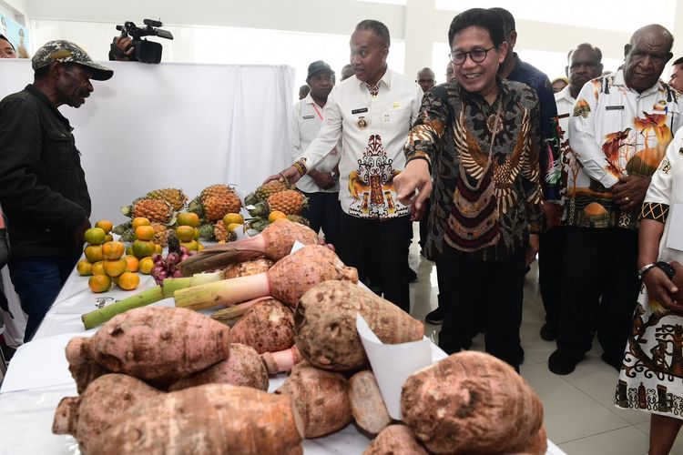 Menteri Desa, Pembangunan Daerah Tertinggal dan Transmigrasi (Mendes PDTT) Abdul Halim Iskandar saat melihat pameran produk ketahanan pangan desa hasil demplot dalam acara Rapat Koordinasi Nasional (Rakornas) Percepatan Pembangunan Daerah Tertinggal 2024 di Wamena, Kabupaten Jayawijaya, Papua Pegunungan, Rabu (17/7/2024).