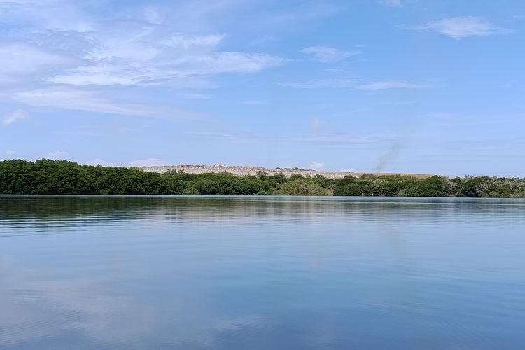 Puncak TPA Suwung Bali dilihat dari area mangrove di Serangan, Jumat (5/12/2025).