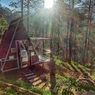 Menginap di Tengah Hutan Pinus, Locca Lodge Trawas Mojokerto