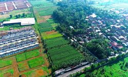 Udara Bersih Berpotensi Tingkatkan Produksi Pangan Global