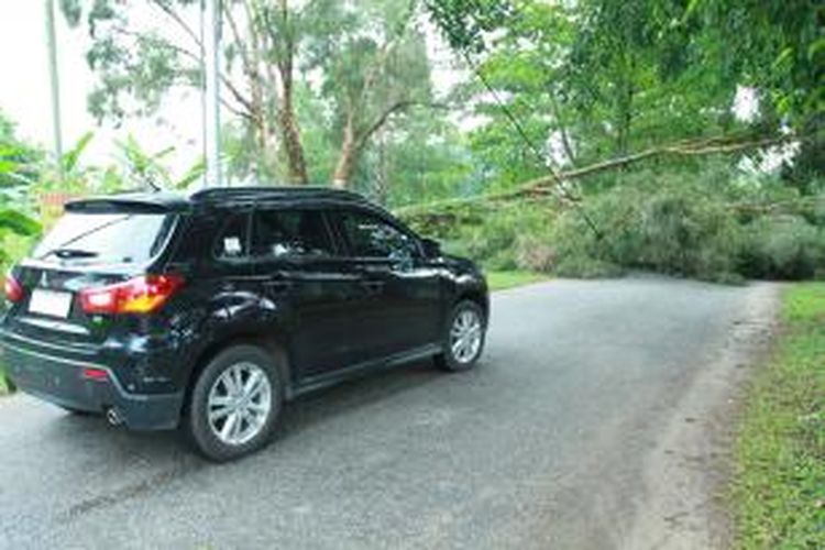 sebuah pohon tumbang yang memutus aliran listrik di Jl.Dr.Sutomo, Singkawang, Kalimantan Barat (6/9/2013)