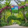 Jurong Bird Park Singapura Ditutup Awal Januari 2023