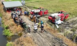 Cetak Sawah Merauke Tembus 40.000 Ha, Peran Masyarakat Adat Menguat