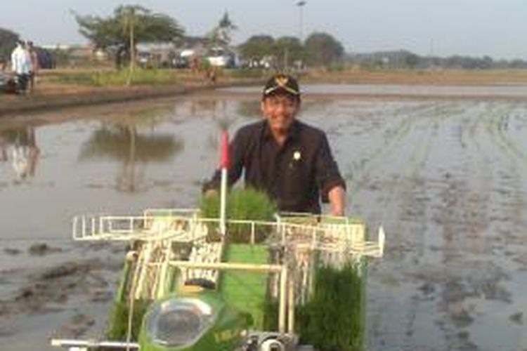 Menteri Pertanian Suswono saat menjalankan alat tranplantasi penanaman padi tegak sejajar
