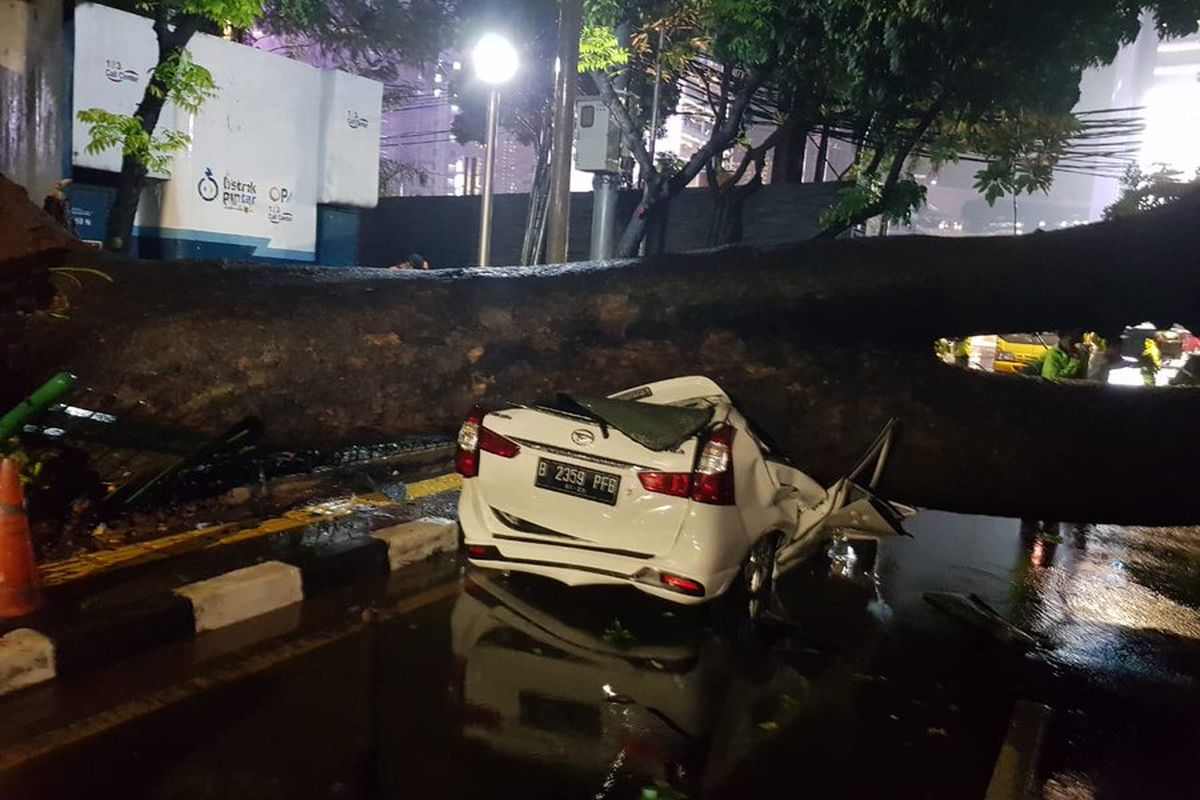 Sebuah mobil bernomor plat B 2359 PFB ringsek tertimpa pohon tumbang di Jalan Sumenep, Menteng, Jakarta Pusat pada Senin (21/9/2020) sekitar pukul 22.00 WIB. 
