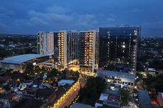 Indonesia Bakal Kolaborasi Pulihkan Lahan Gambut Bareng Kongo dan Peru