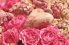 Makna Bunga untuk Hadiah Valentine yang Perlu Diketahui