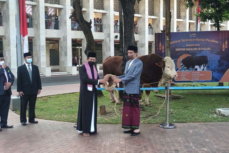 Presiden Joko Widodo menyerahkan sapi kurban seberat satu ton ke Masjid Istiqlal Jakarta, Minggu (10/7/2022).