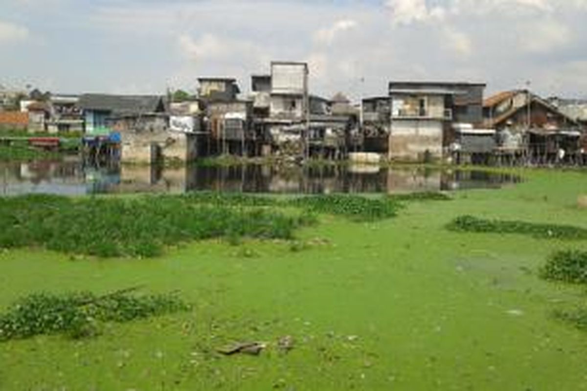 Akibat hujan, area makam di Kampung Deret, Kapuk, Cengkareng, Jakarta Barat, kembali terendam air, Jumat (20/6/2014)