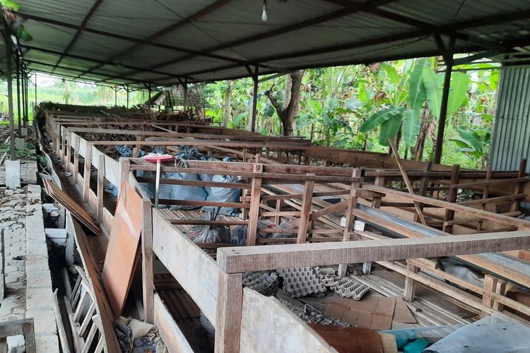 Lahan milik warga yang sempat dimanfaatkan oleh ACT untuk peternakan kambing di Desa Sambongrejo, Kecamatan Sambong, Kabupaten Blora, Jawa Tengah, Rabu (6/7/2022)