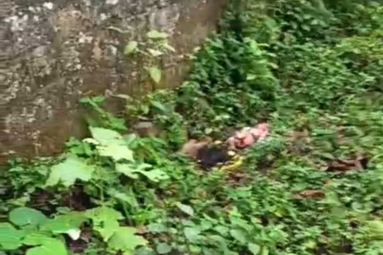 Kondisi bayi perempuan yang ditemukan di Puncak Bogor, Jawa Barat, Sabtu (13/9/2025) siang.