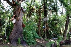 Jelajah Wisata Misteri di Pulau Boneka, Diselimuti Kisah Tragis