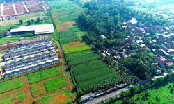 Sawah 6,45 Juta Hektar Resmi Diamankan buat Swasembada Pangan
