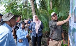 Sejahterakan Masyarakat lewat Rehabilitasi Mangrove, Kepala BRGM Ajak PSM Kementerian LHK Kunjungi Kaltim  
