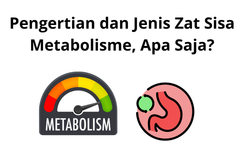 Pengertian dan Jenis Zat Sisa Metabolisme, Apa Saja?