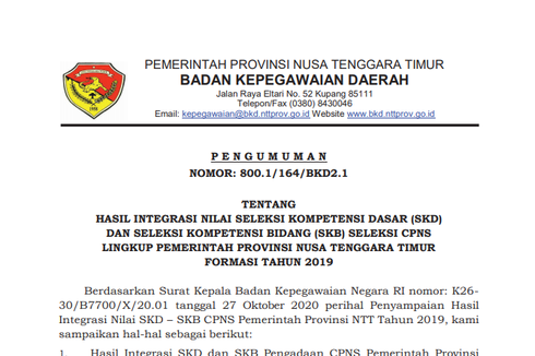 Hasil CPNS 2019 Pemprov NTT dan Pemprov NTB Sudah Diumumkan, Ini Link-nya!