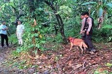 Jejak Kaki di Balik Penangkapan Pembunuh Gadis Penjual Gorengan di Padang Pariaman