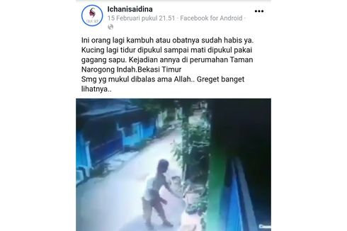 RH Pukul Kucing karena Kesal Hewan Milik Tetangganya Itu Buang Air Besar di Pot Bunga