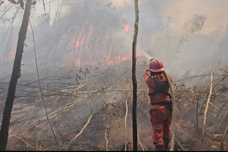 Karhutla Sumatera-Kalimantan: 89 Orang Jadi Tersangka, Bareskrim Telusuri Keterlibatan Korporasi  