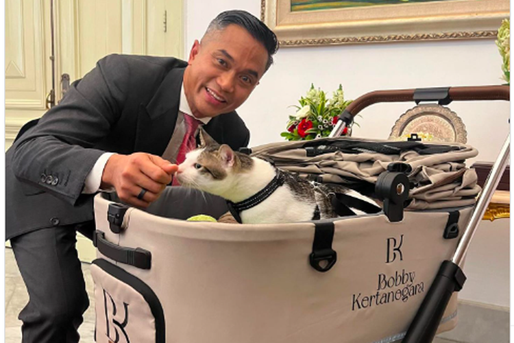 Ketua Kadin Anindya Bakrie dengan kucing Prabowo Bobby Kertanegara di Istana, Minggu, 20 Oktober 2024. 