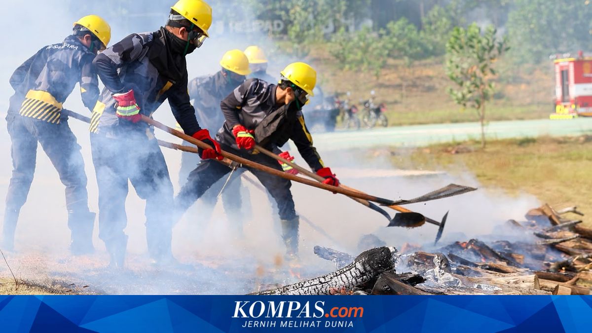 Titik Panas di Kaltim, Dampak El Nino, dan Bagaimana Kondisi IKN?