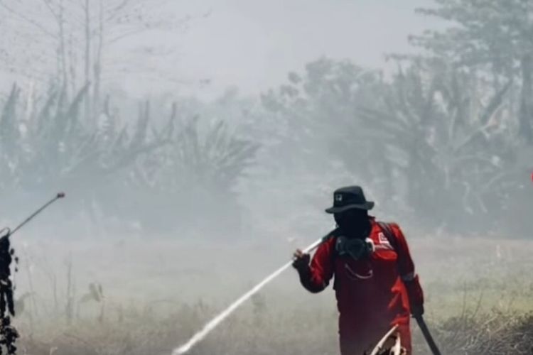Kualitas Udara di Kolaka Timur Sangat Tak Sehat Imbas Karhutla, PJJ Diperpanjang