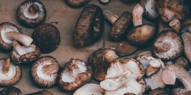 Manfaat Jamur Meningkatkan Imun Dan Menyehatkan Jantung Halaman All Kompas Com