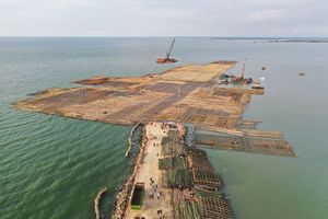 Keajaiban 10 Juta Batang Bambu yang Memperkuat Tol Semarang-Demak